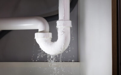 Blog 4 Plumbing myths that could be costing you time and money