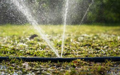 Emergency plumbing 101: what to do before the pros arrive