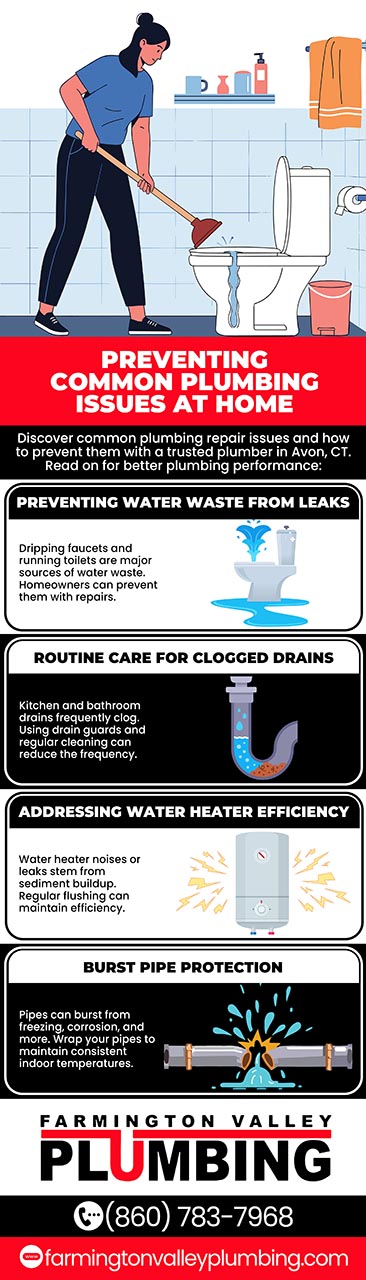 Preventing common plumbing issues at home