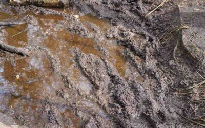 Heating maintenance essentials through transitional “mud” weather