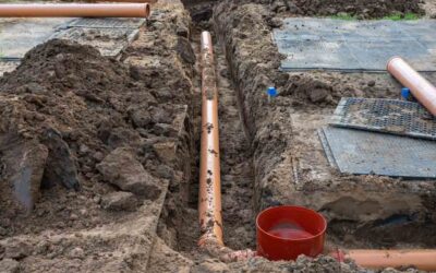 Is your farmington valley landscape “drinking” your sewer line?