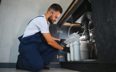 Uv purification: the last line of defense against bacteria and cysts in your well
